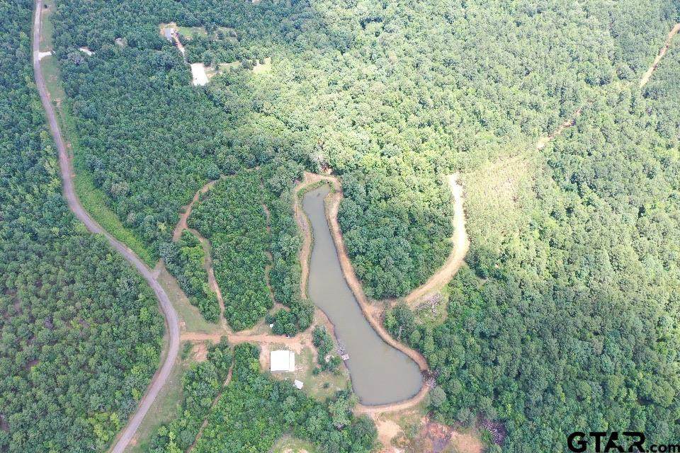 2409 County Road 2303 - Photo 1