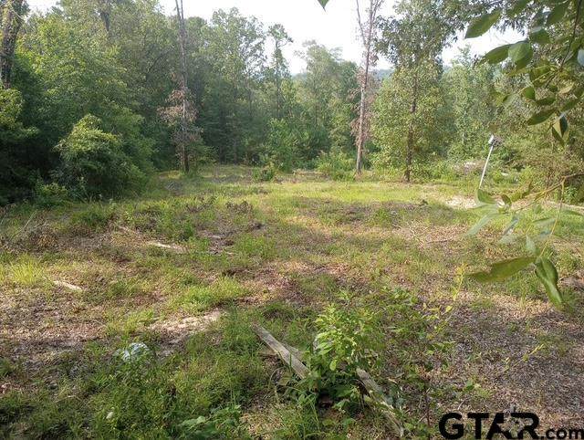 765 Private Road 4322 - Photo 1