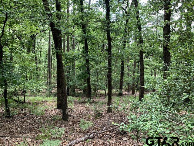 300301 Misty Glen Lane - Photo 1