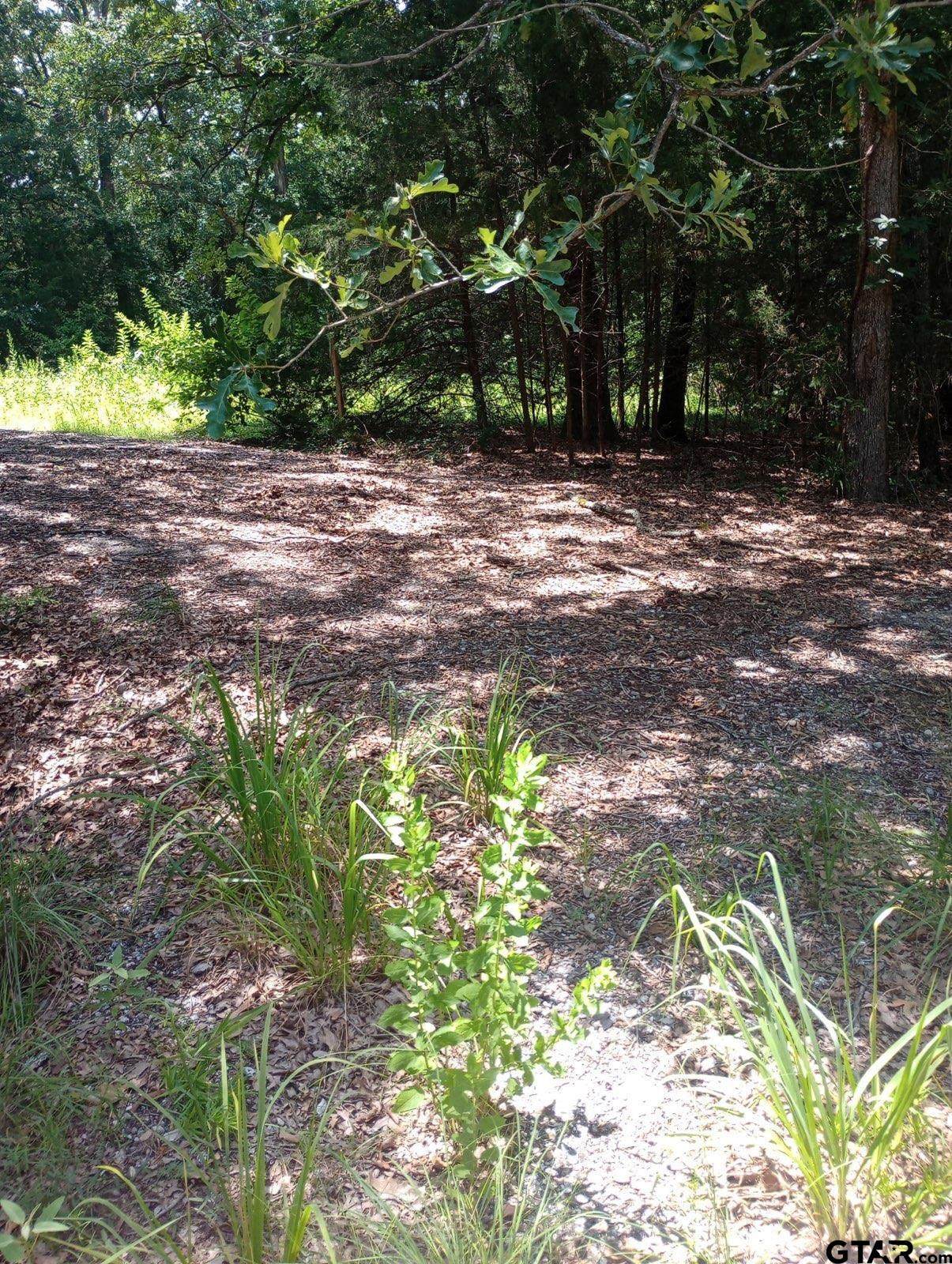 TBD Dogwood - Photo 1