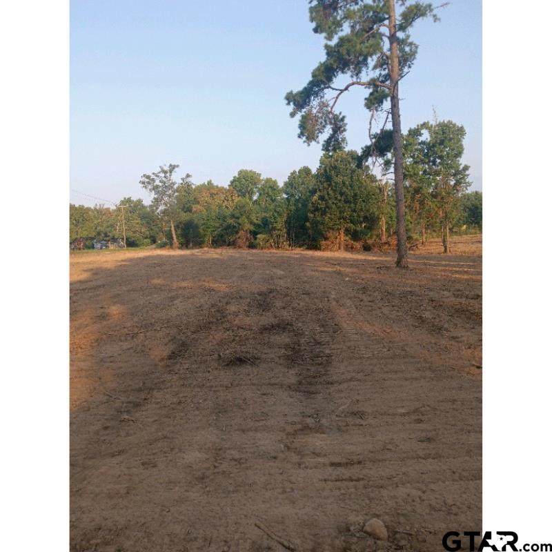 5186 County Road 381 - Photo 1