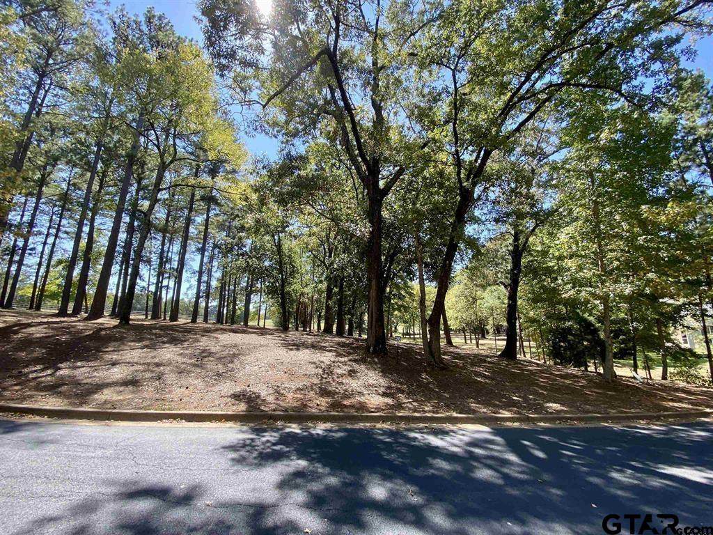 Lot 27 Leisure Ln - Photo 1