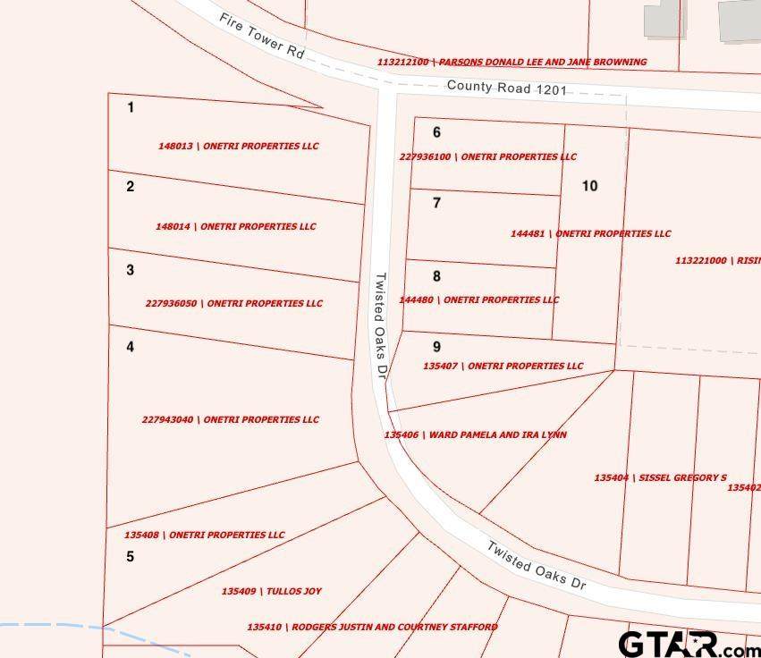 159 Twisted Oaks - Photo 1