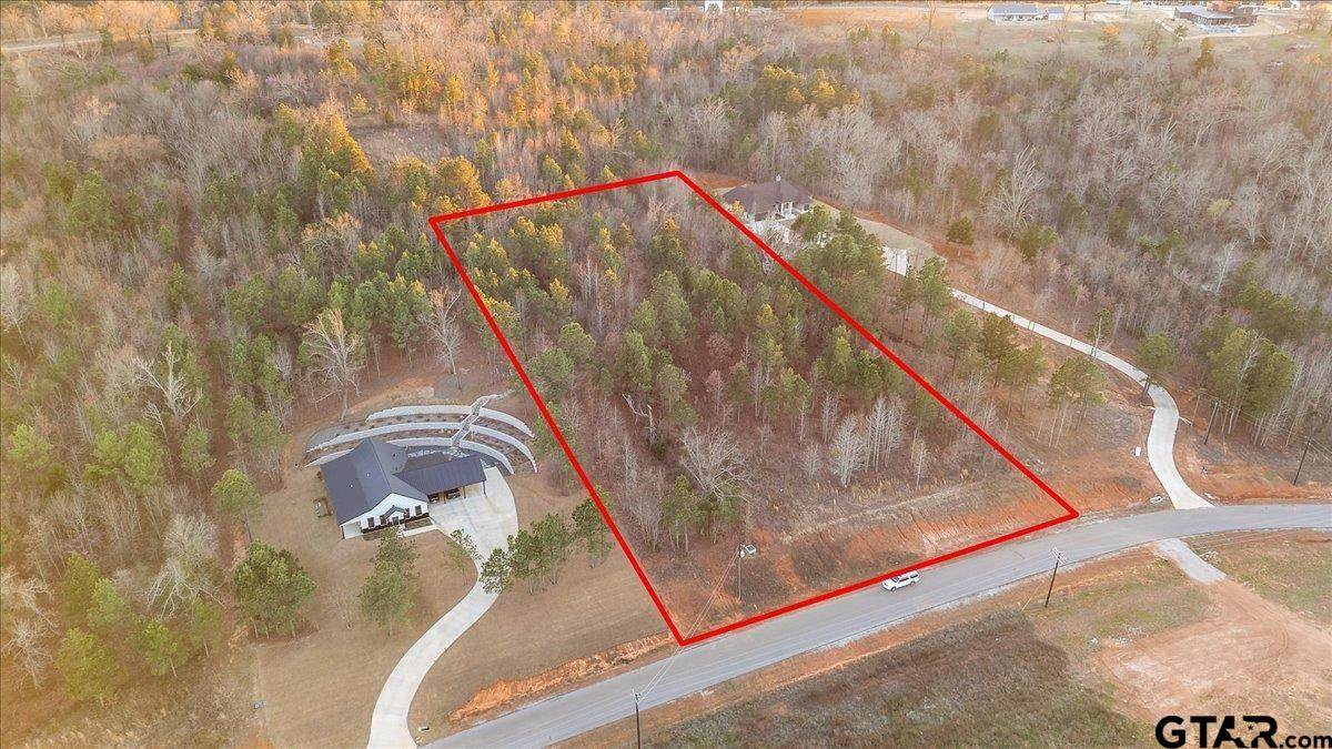 16935 Ridgeline Loop - Photo 1