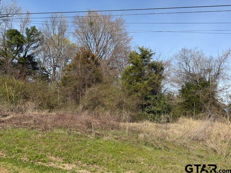 499 Crockett St - Photo 1