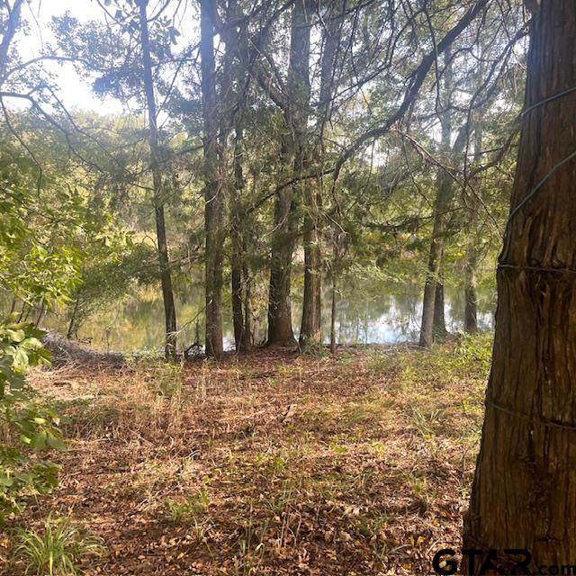 205 County Road 2880 - Photo 1