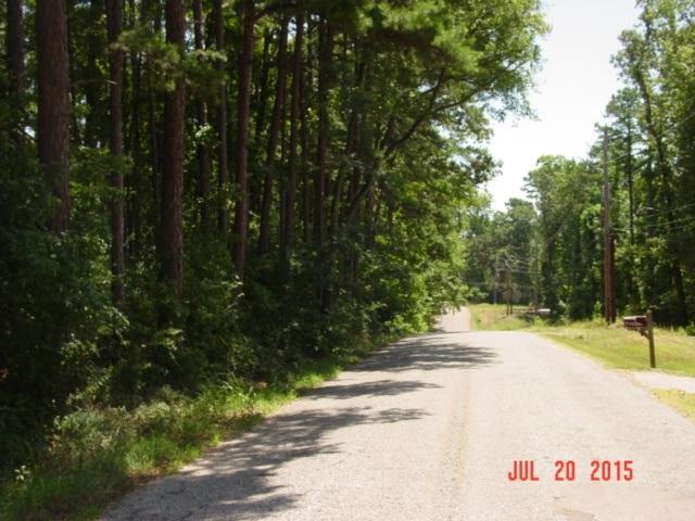 TBD East Lake Drive - Photo 1