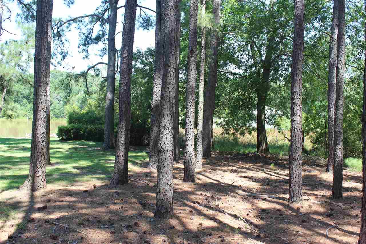 Lot 124 Toler Pointe - Photo 1