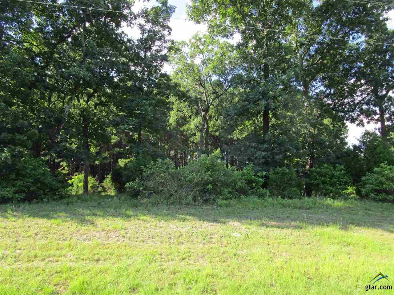 7601 Quail Hollow Court - Photo 1
