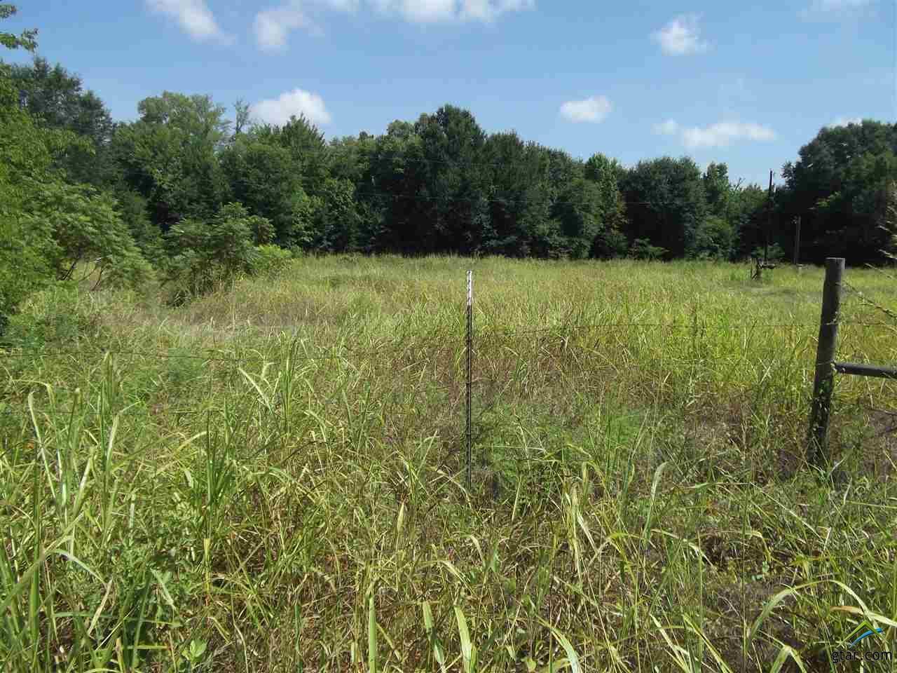 21365 Hwy 110 - Photo 1