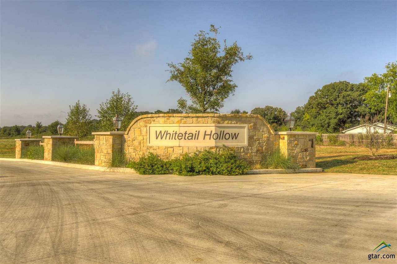 20207 Deer Hollow Dr. - Photo 1