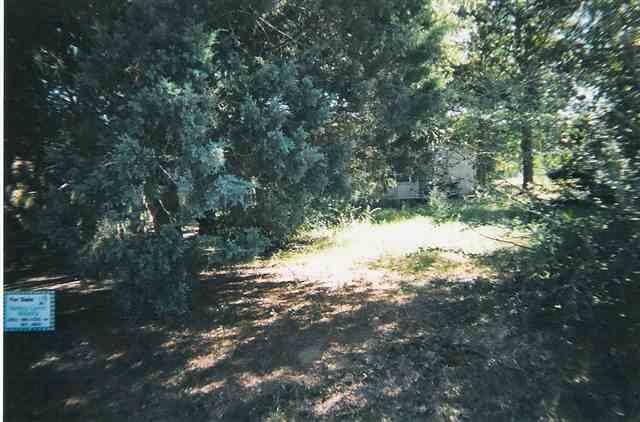 Lot 12, 22 Renee Street - Photo 1