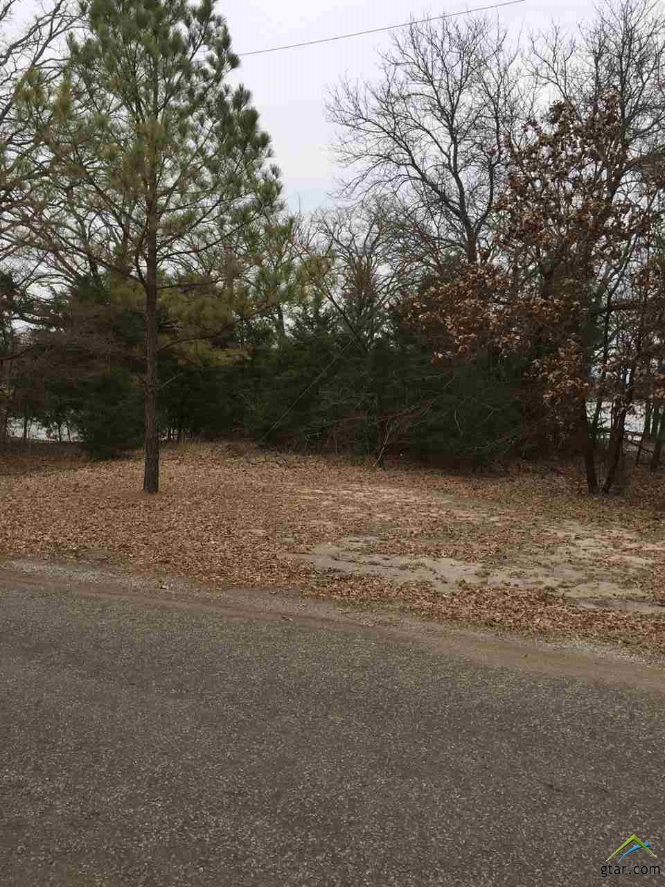 Lot 4 Willow Drive - Photo 1