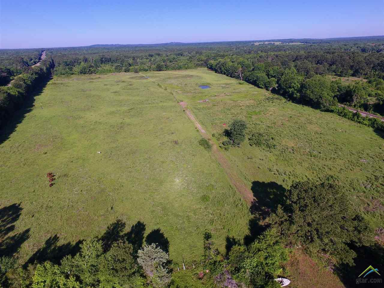1095 Us Hwy 79W - Photo 1