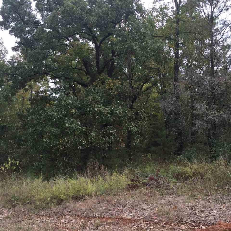 23605 Hwy 64 - Photo 1