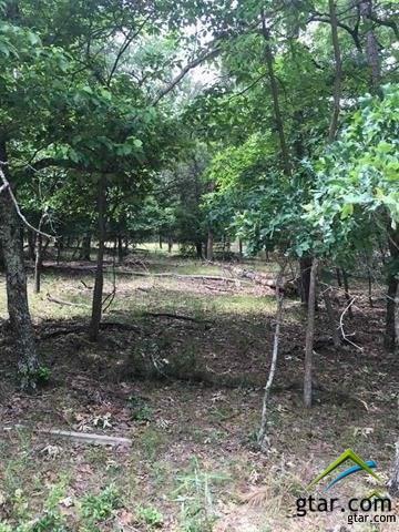 LOT 88 Holly Trail East - Photo 1