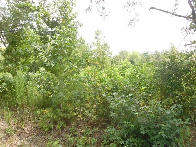 TBD Mimosa - Photo 1