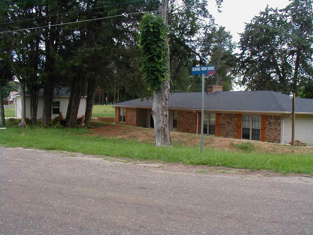 15906 Scenic View - Photo 1
