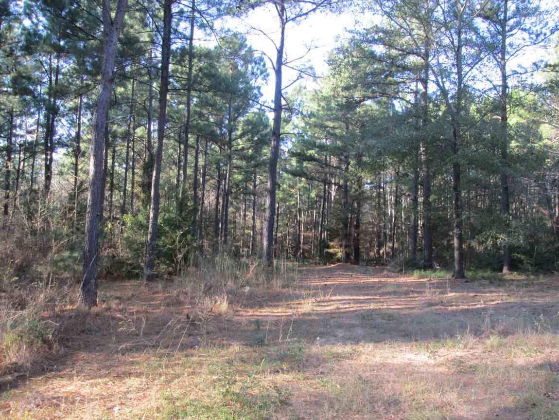 tbd Mulberry Rd - Photo 1