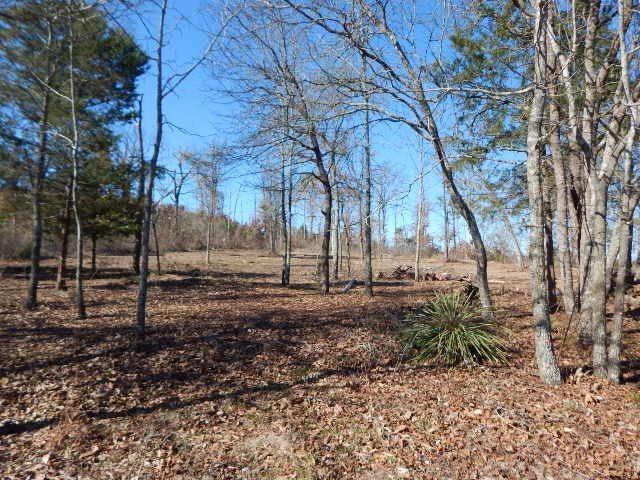 TBD Lot 113 Raintree Lakes - Photo 1
