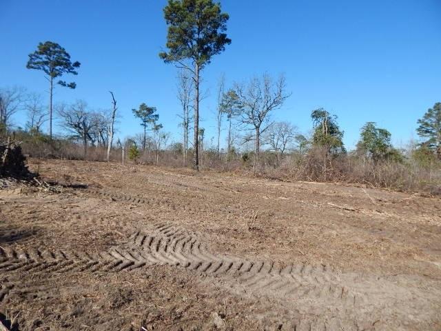 TBD Lot 112 Raintree Lakes - Photo 1