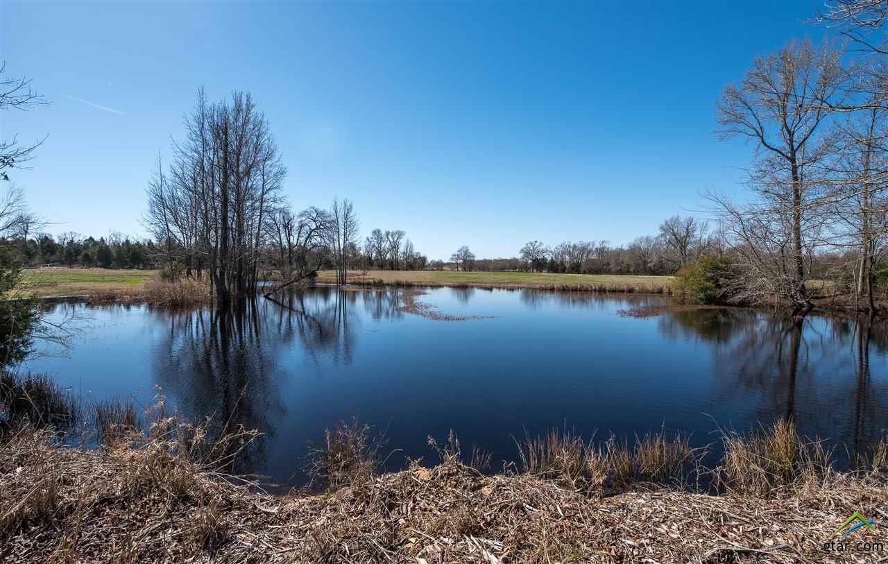 12099 Hwy 64 - Photo 1