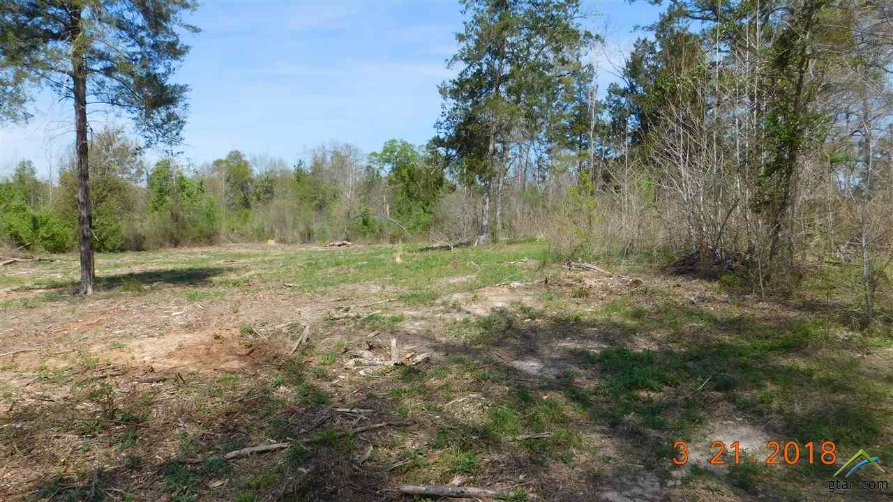 0 County Road 3105 - Photo 1