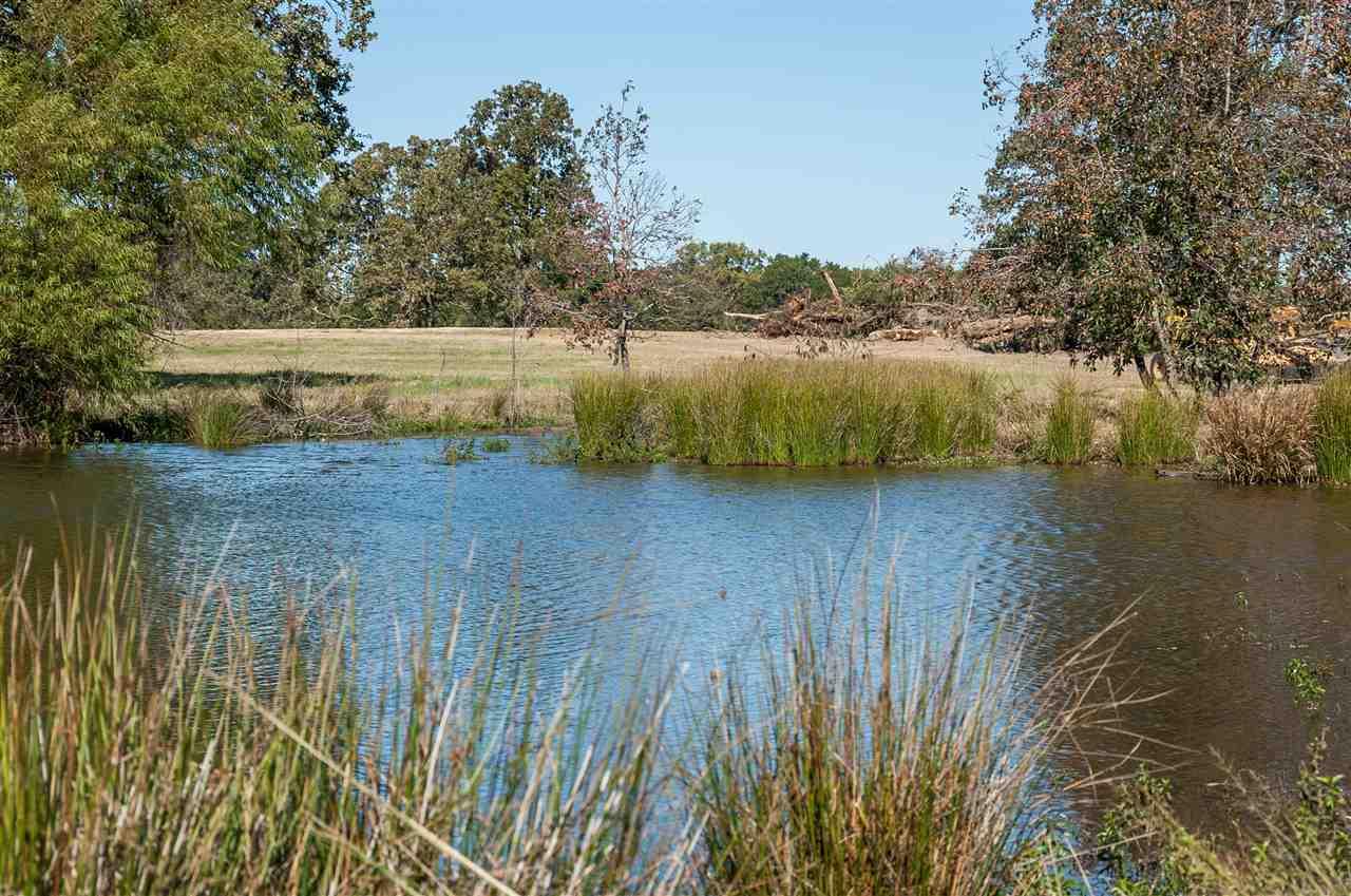 10481 County Road 1220 - Photo 1
