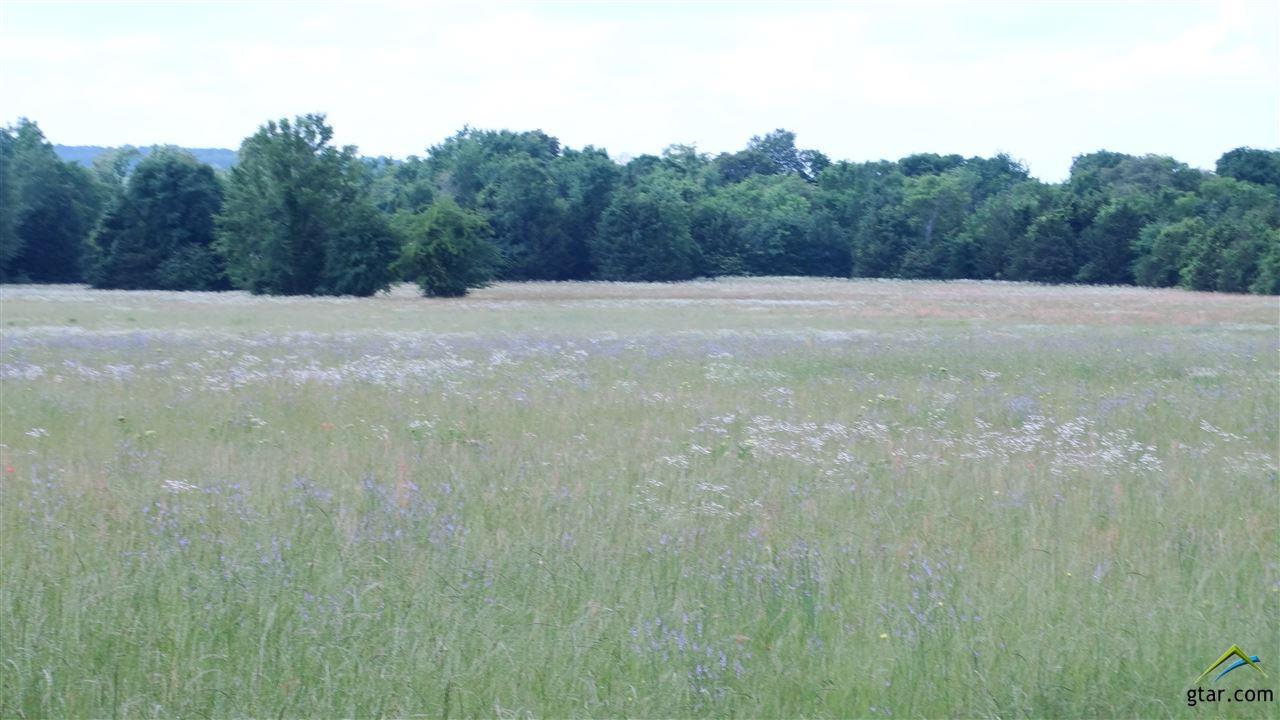 12799 County Road 1260 - Photo 1