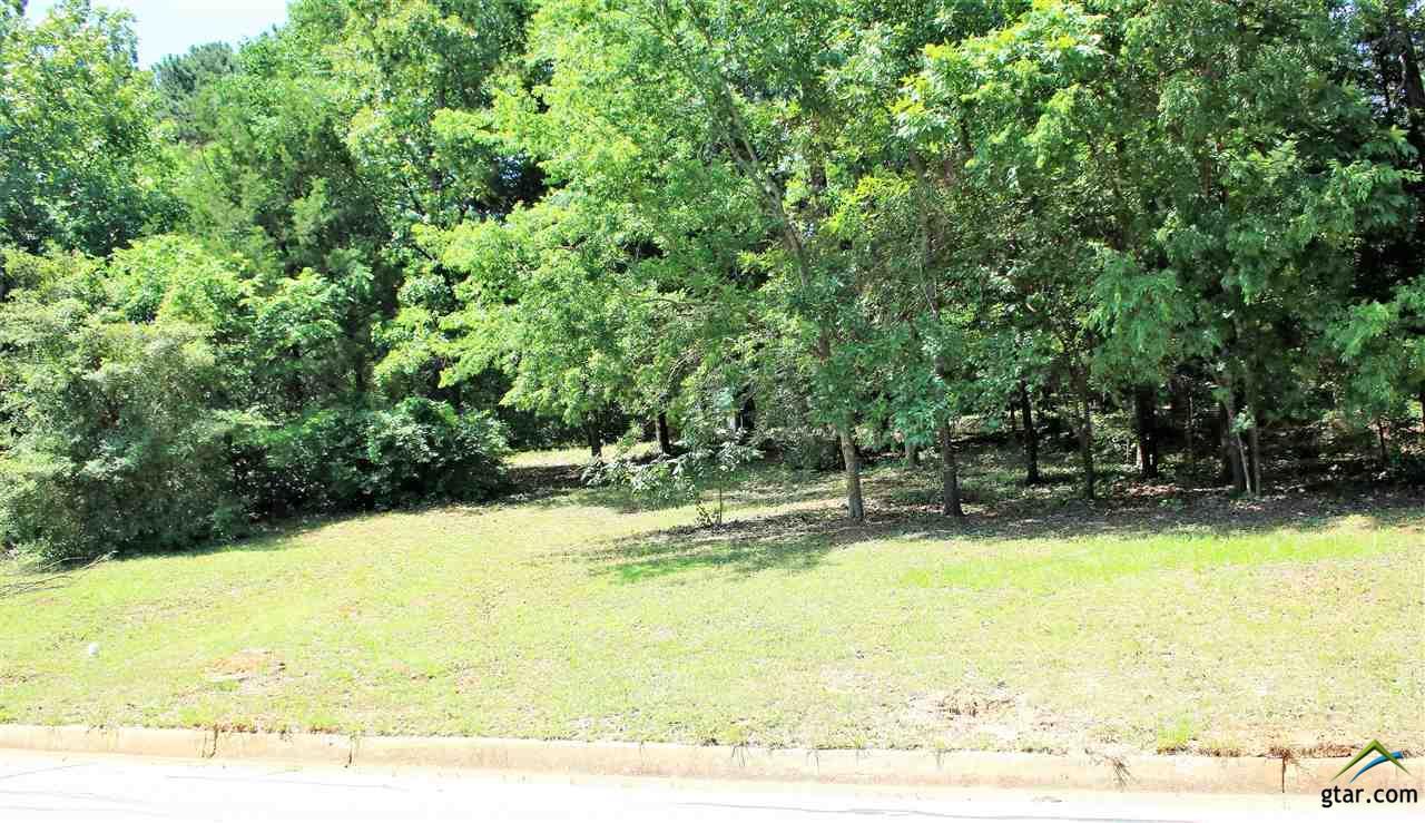 1388 Centennial Pkwy - Photo 1