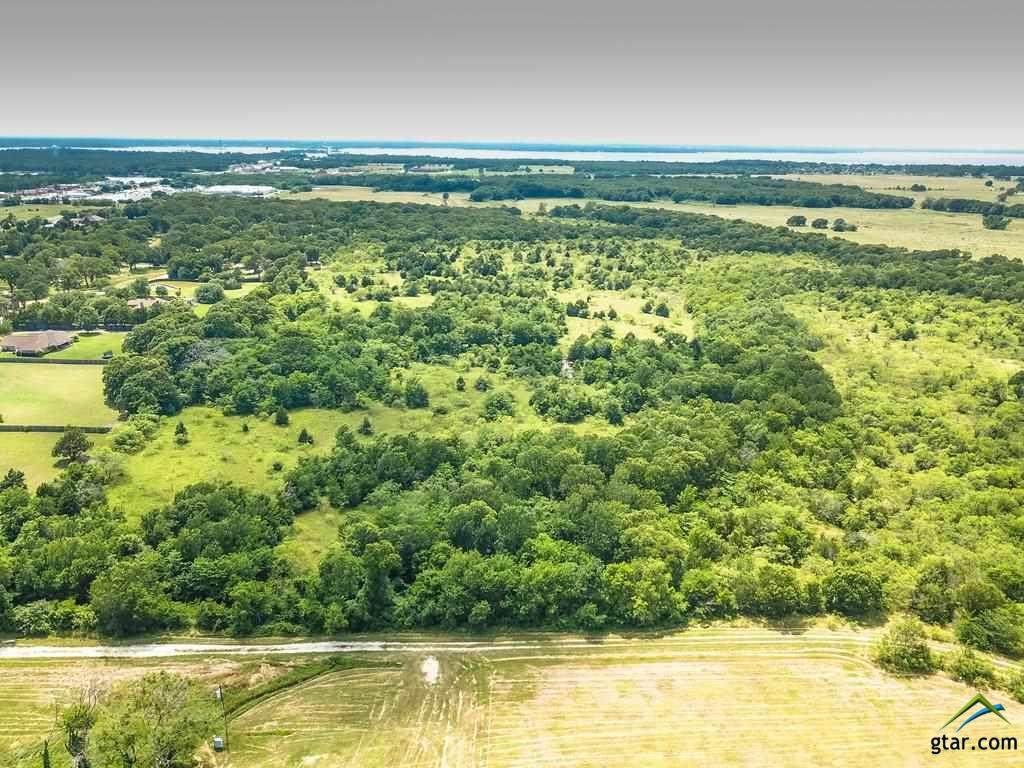 0 Luther Lane - Photo 1