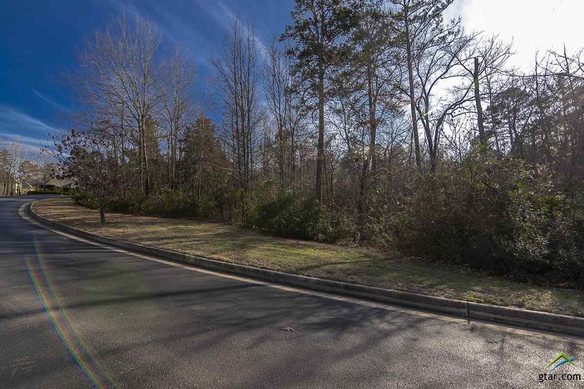 1925 Stonegate Blvd. - Photo 1