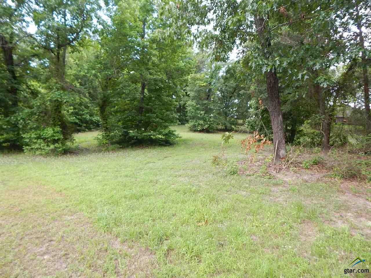 Lot 61 Widgeon - Photo 1