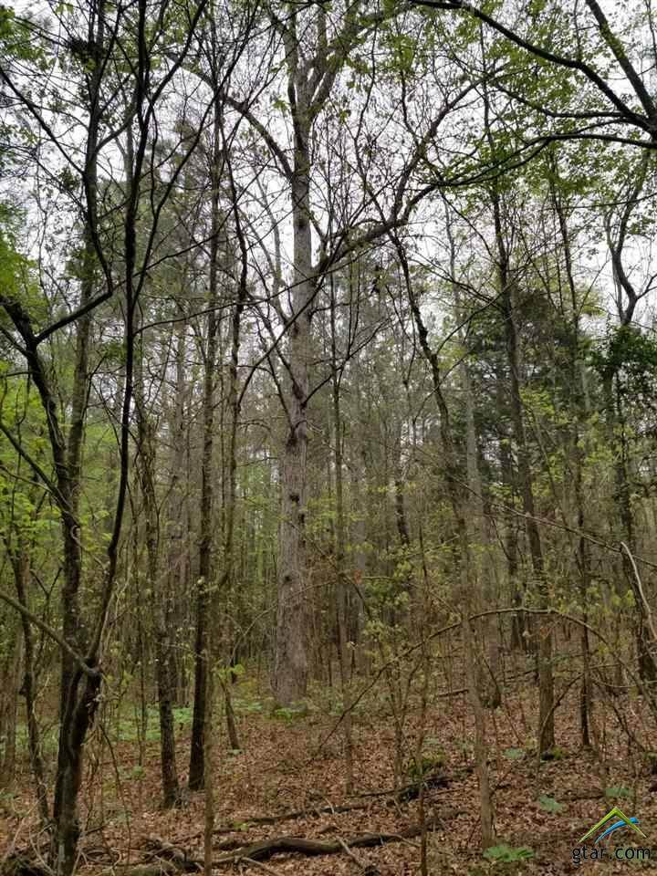 TBD Cr 4225 - Photo 1