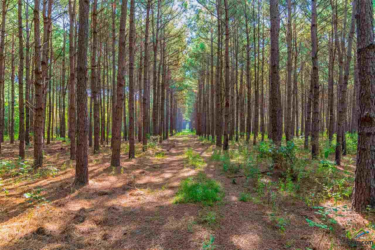 10307 Fm 343 - Photo 1