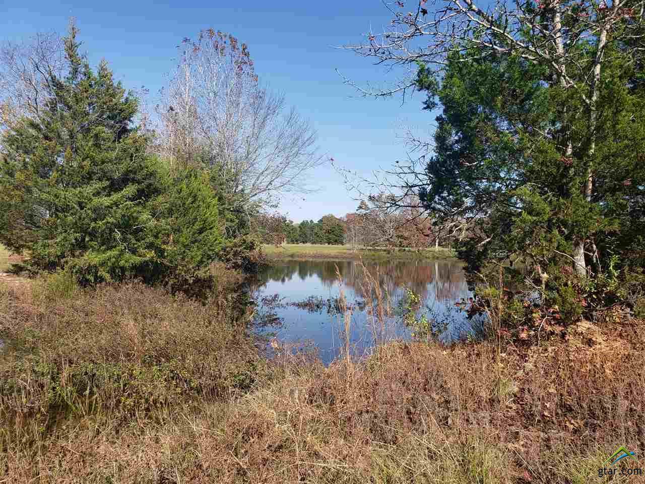 Lot 27 Riva Ridge Drive - Photo 1