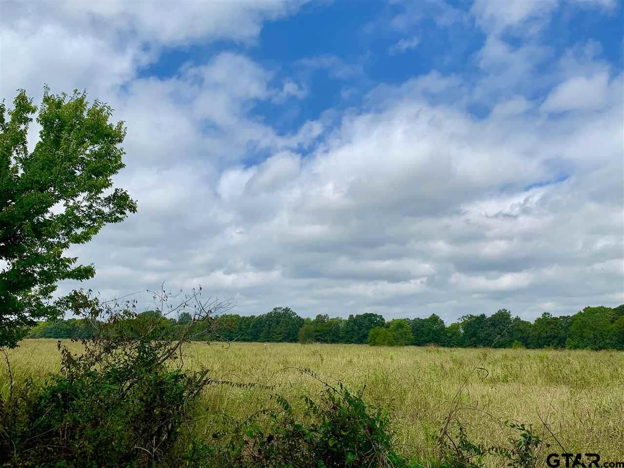 Tract 4 County Road 1350 - Photo 1