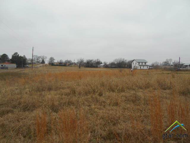 Lot 219 Apache - Photo 1