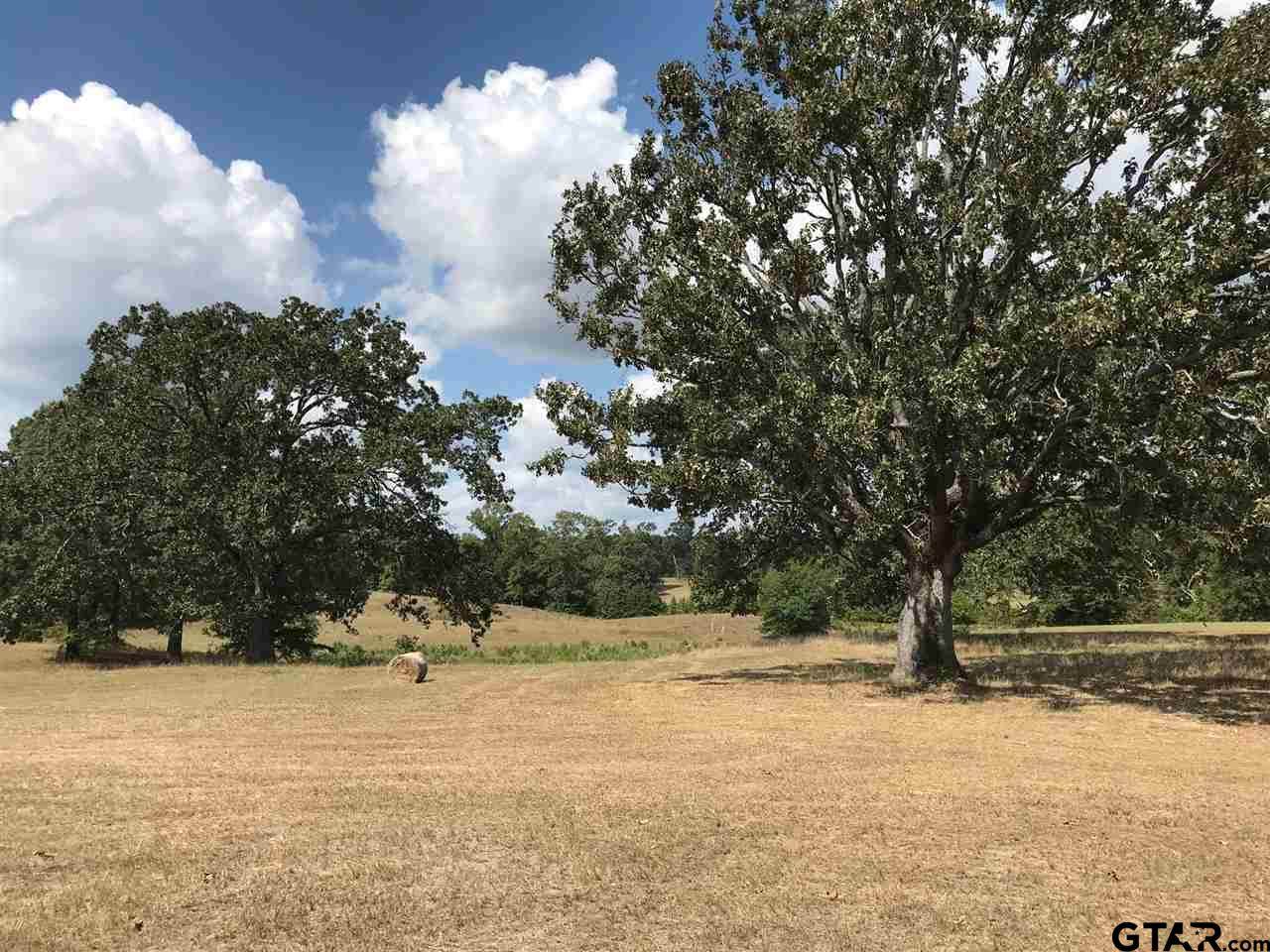 TRACT 2 Fm 3358 - Photo 1