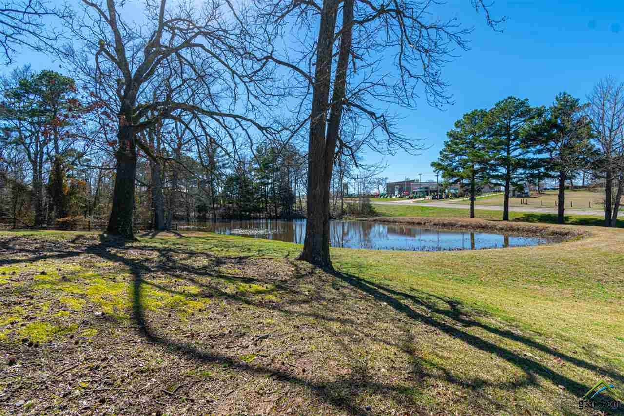 14531 S Highway 155 - Photo 1