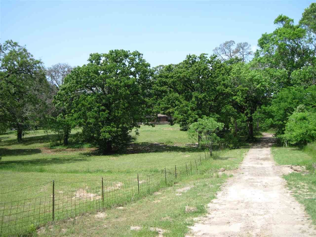 401 Patton Ln - Photo 1