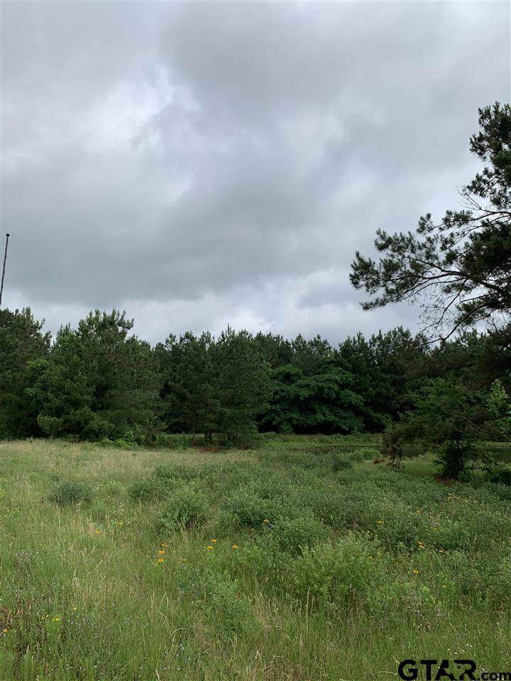 LOT 3 (16.43) Highway 135 - Photo 1