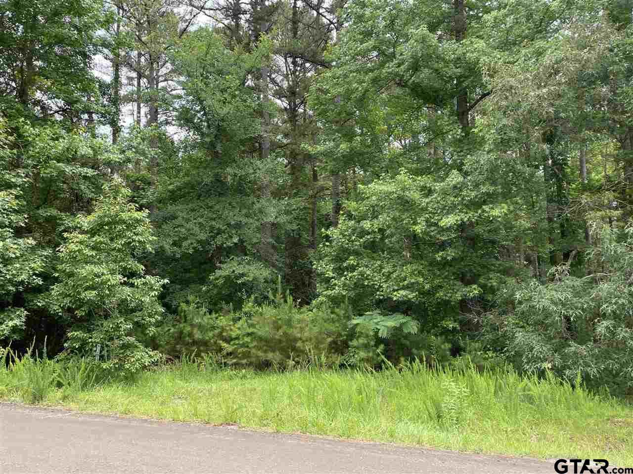 15800 Crazyhorse Dr - Photo 1