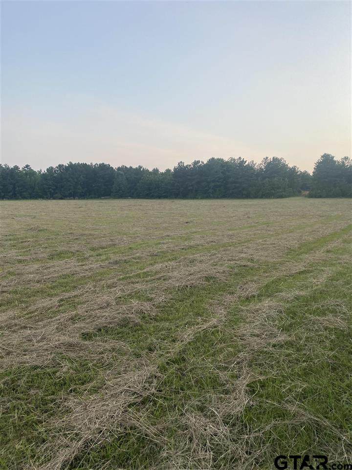9336 Cr 352 East - Photo 1