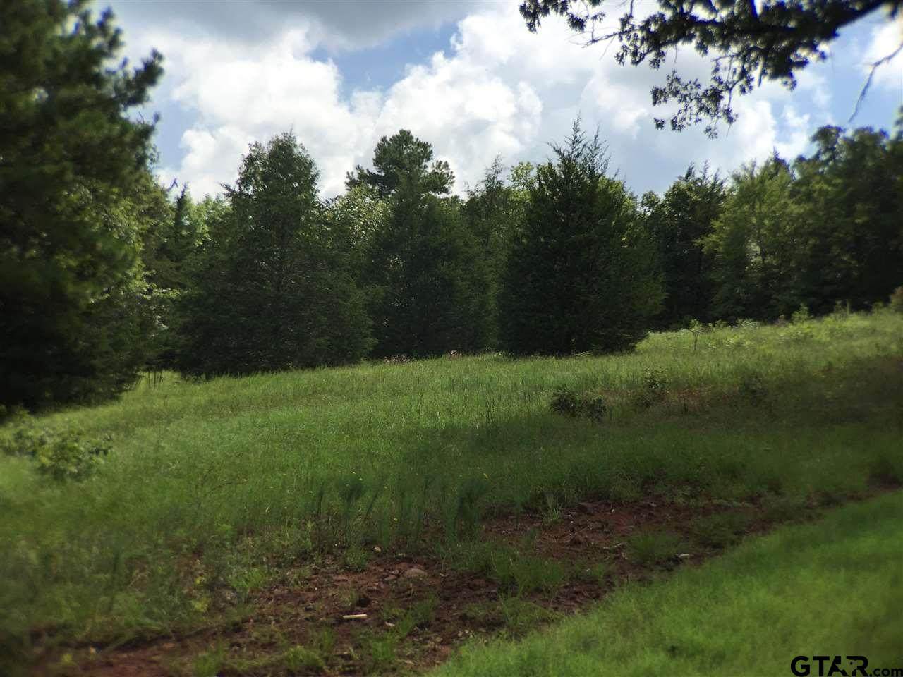 347 Hines Crossing - Photo 1