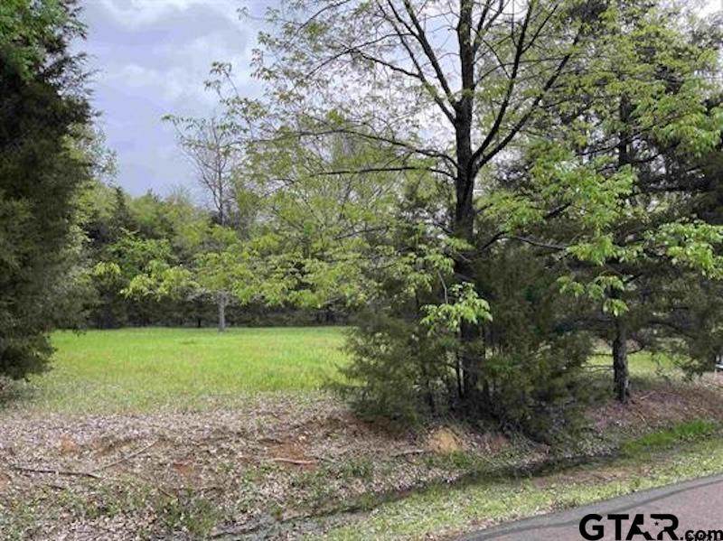 Lot 61 Cypress Circle - Photo 1