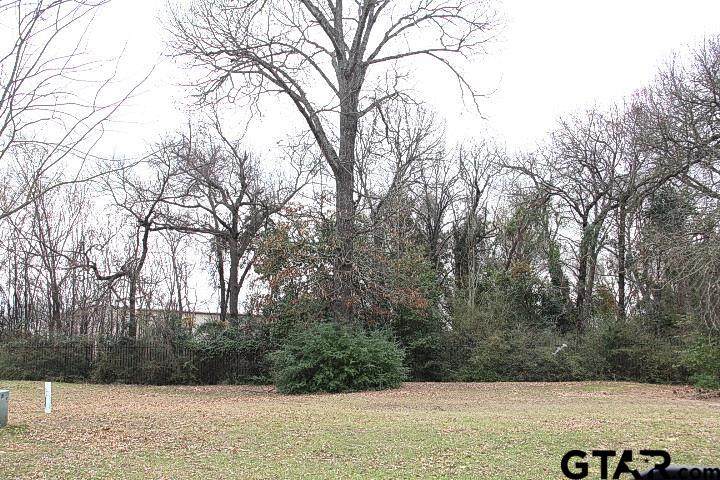 106 Palomita Cove - Photo 1