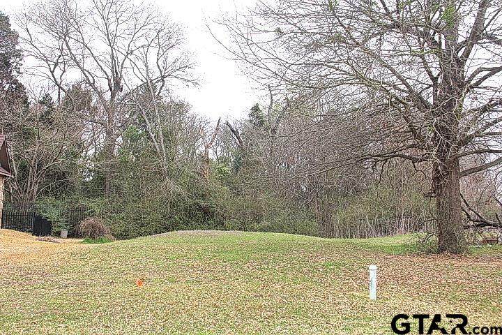 110 Palomita Cove - Photo 1