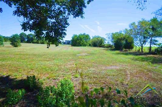 18800 Hwy 110- Lot 1 - Photo 1