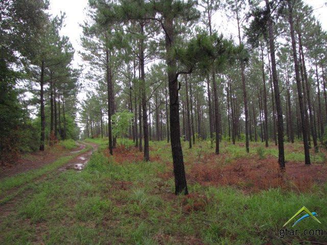 TBD Cr 4174 - Photo 1